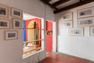 ¿Que hace el Colectivo Oaxaca Cultural?